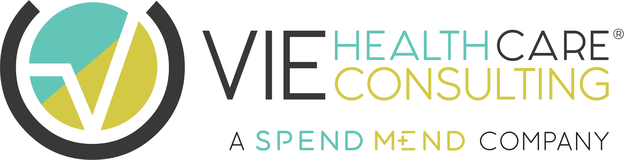 VIE Healthcare Horizontal Logo